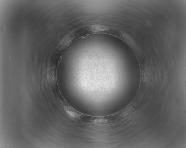 X0000052990426200507151900