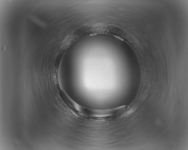 X0000052990432200507151900