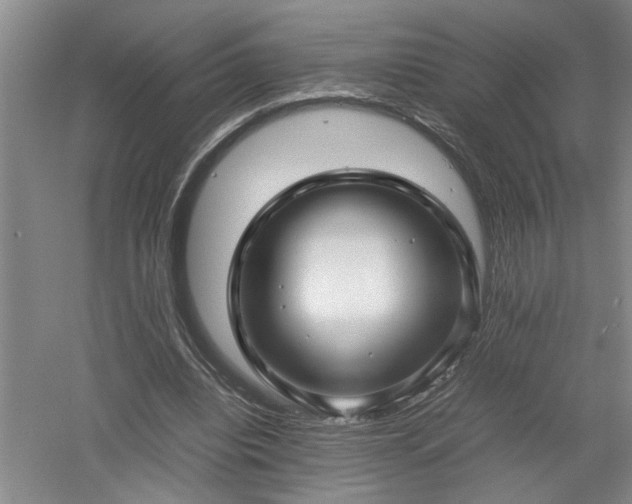 X0000052990440200507151859