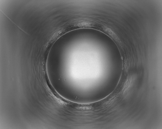 X0000052990449200507151859