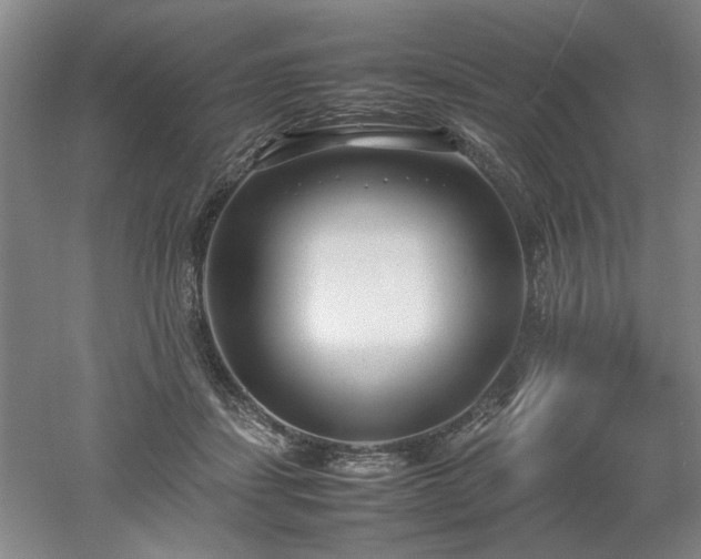 X0000052990459200507151859
