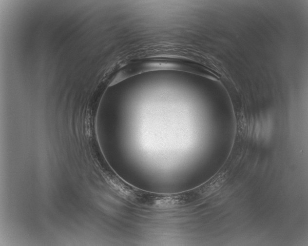 X0000052990470200507151900
