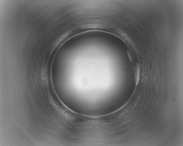 X0000052990482200507151859