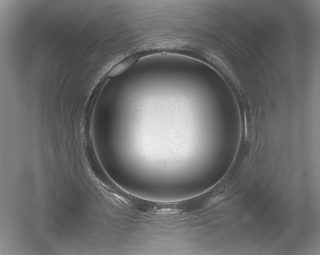 X0000052990483200507151859