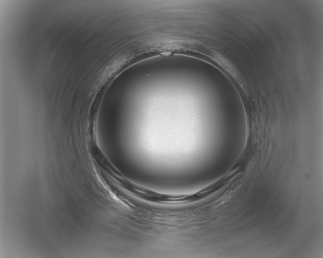 X0000052990485200507151859