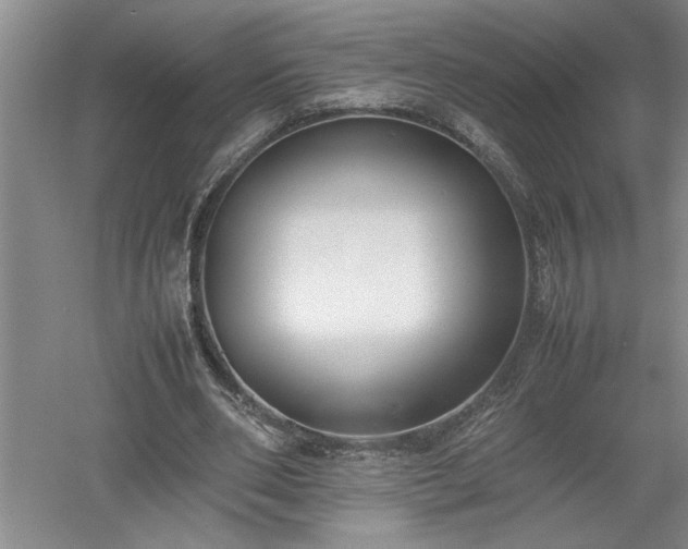 X0000052990486200507151859