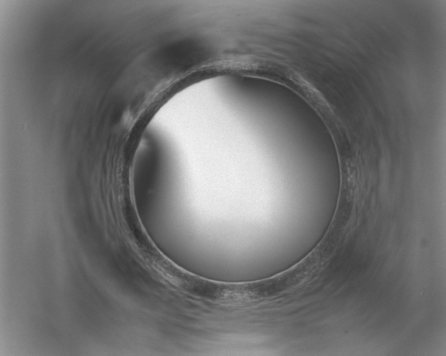 X0000052990487200507151859
