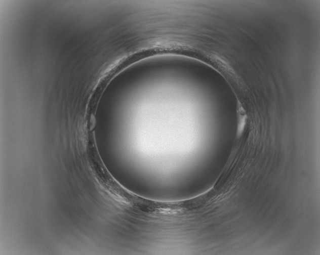 X0000052990488200507151859