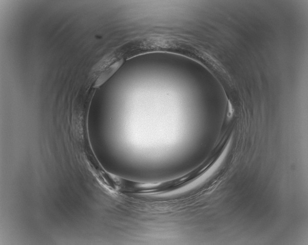 X0000052990489200507151859