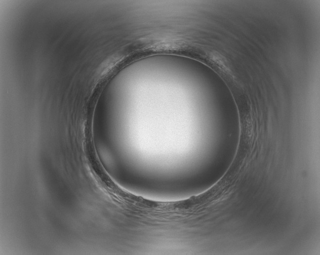 X0000052990491200507151859