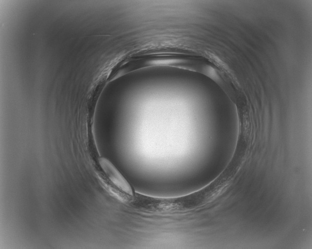 X0000052990493200507151859