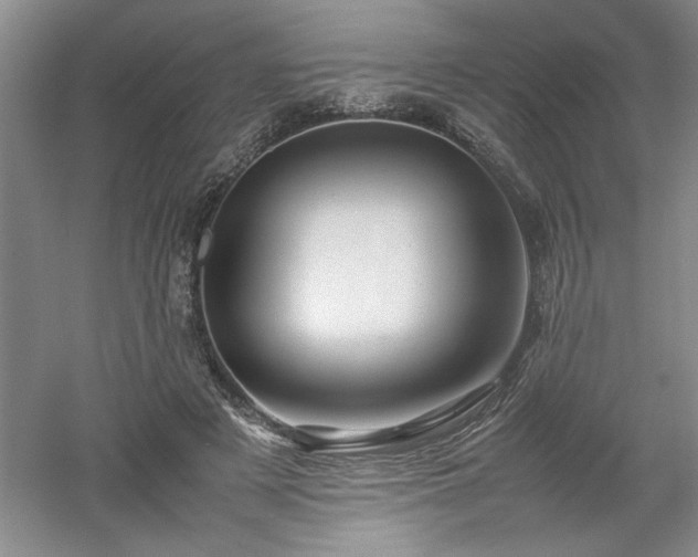 X0000052990497200507151859