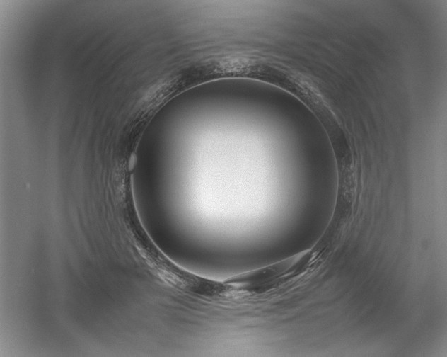 X0000052990505200507151858