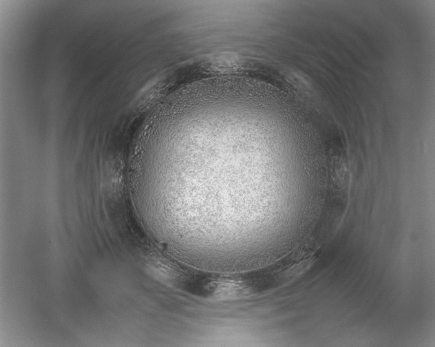 X0000052990507200507151858