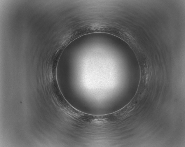 X0000052990508200507151858