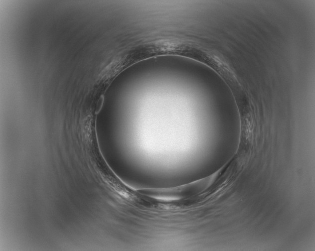 X0000052990509200507151858