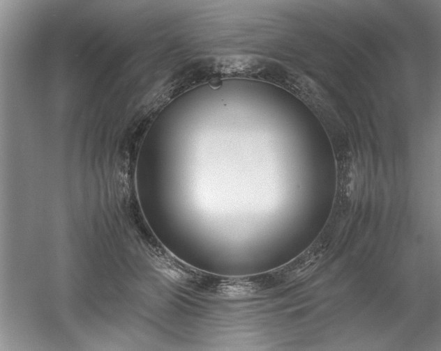 X0000052990510200507151858