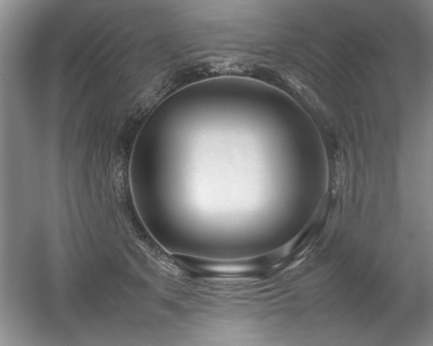 X0000052990513200507151858