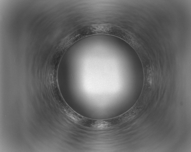 X0000052990514200507151858