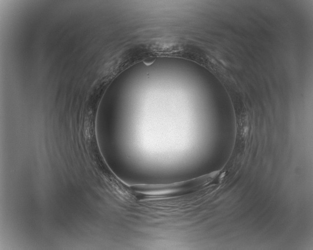 X0000052990515200507151858