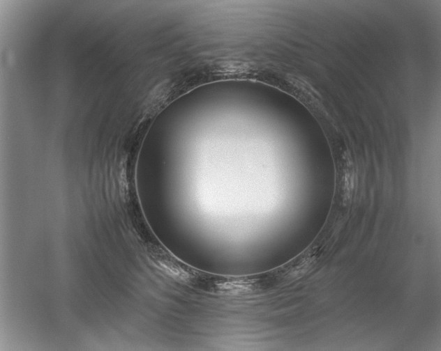 X0000052990516200507151858