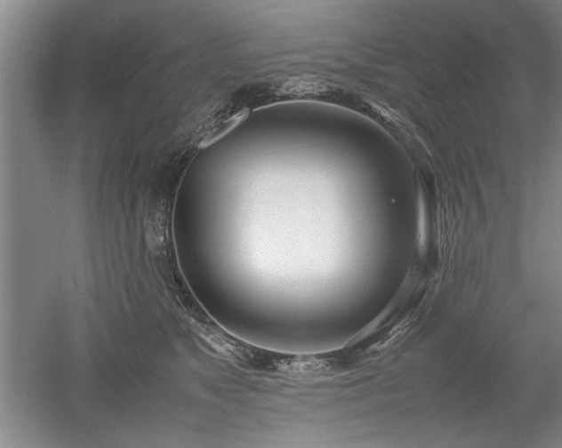 X0000052990517200507151858