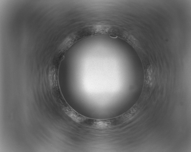 X0000052990522200507151858