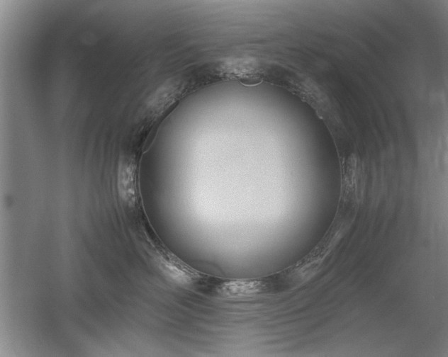 X0000052990526200507151858