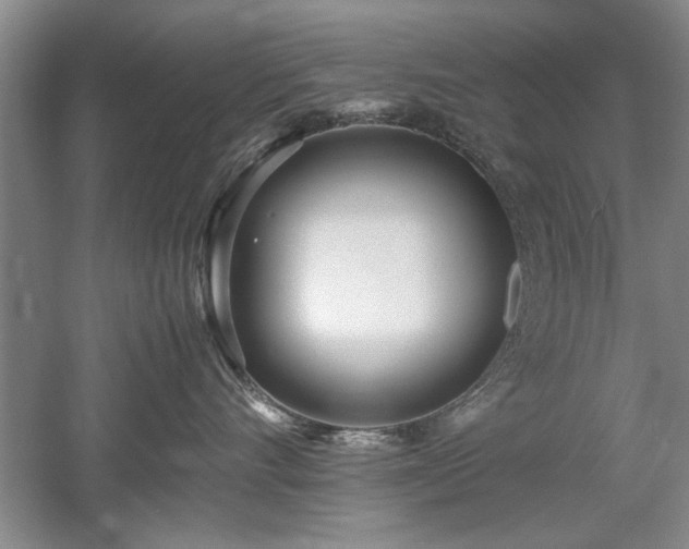 X0000052990528200507151858