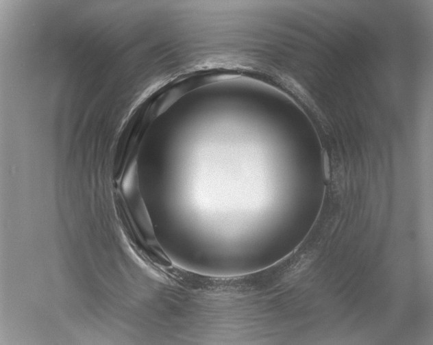 X0000052990530200507151857