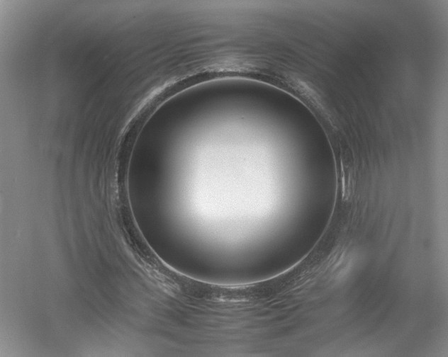 X0000052990531200507151857