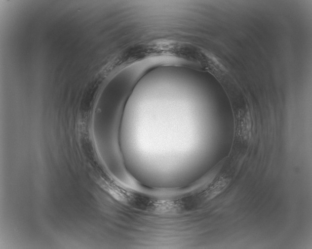 X0000052990562200507151858