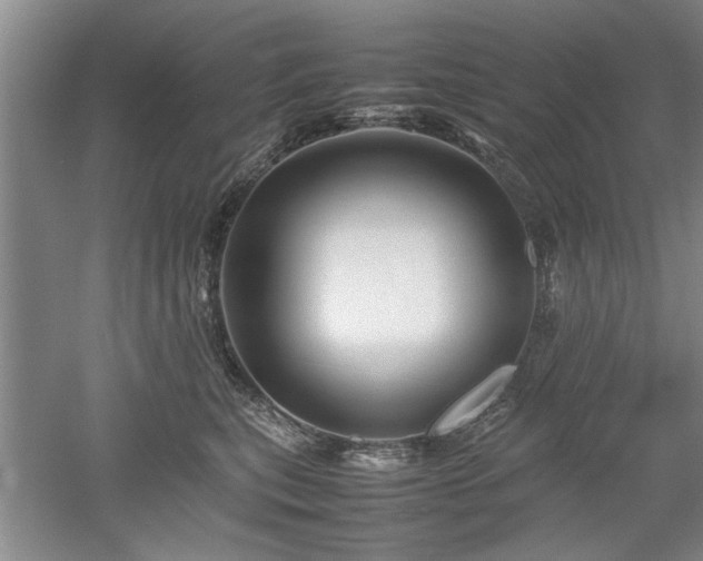 X0000052990567200507151858