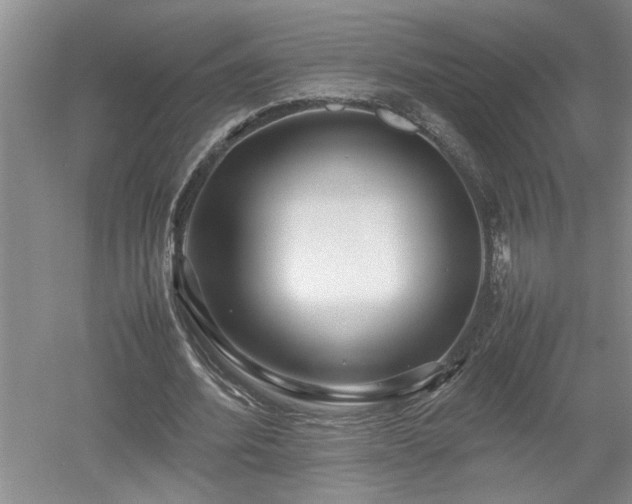 X0000052990580200507151857