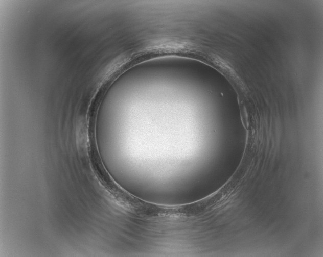 X0000052990582200507151857