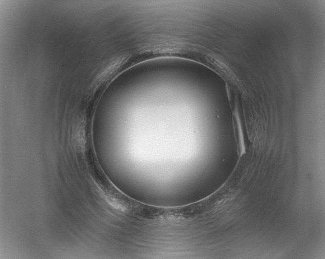 X0000052990586200507151857