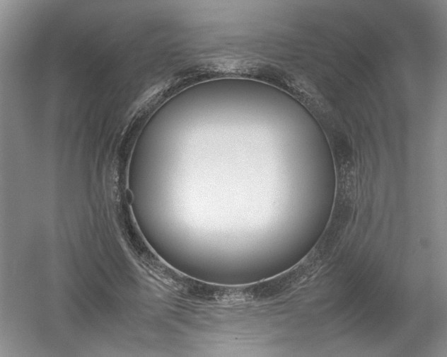 X0000052990587200507151857
