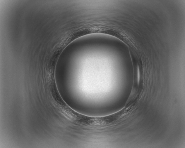 X0000052990601200507151857
