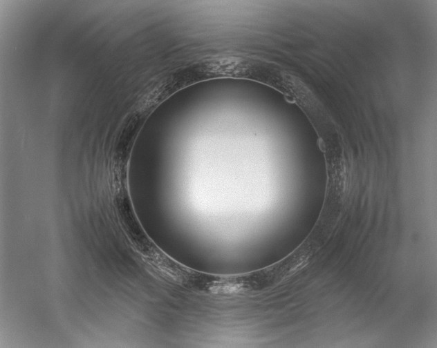 X0000052990602200507151857