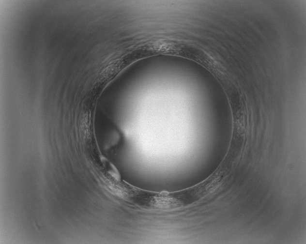 X0000052990605200507151857