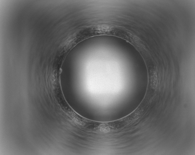 X0000052990608200507151857