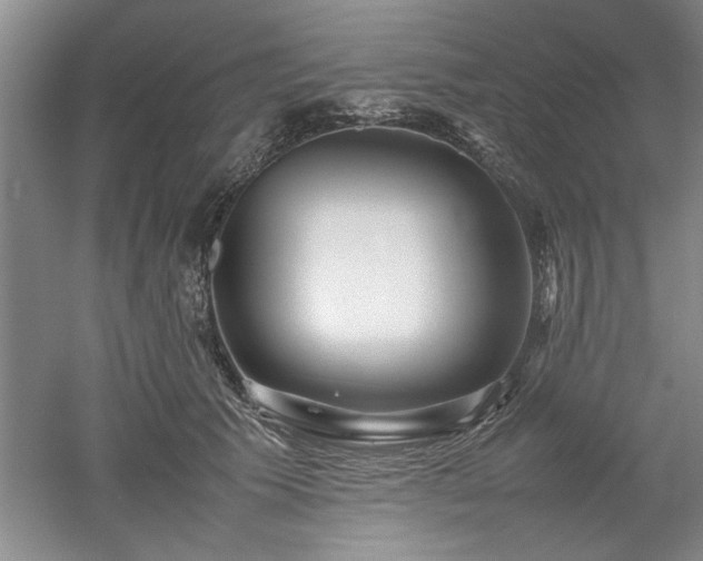 X0000052990609200507151857
