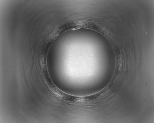 X0000052990611200507151857