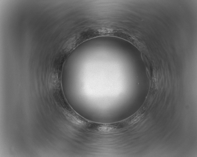 X0000052990614200507151857
