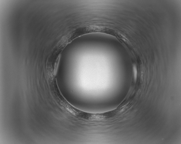 X0000052990617200507151857