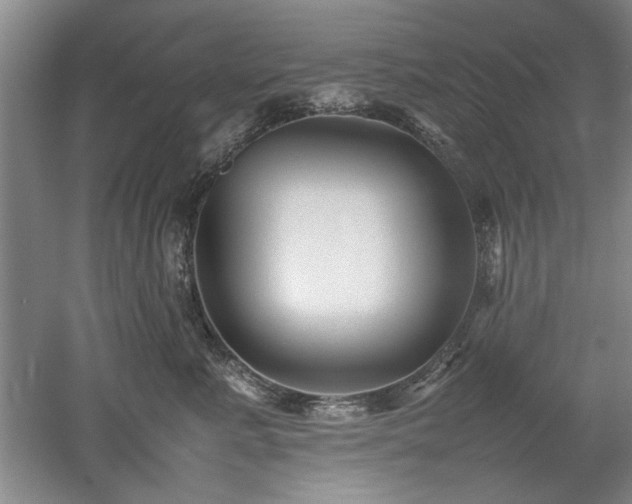X0000052990619200507151857
