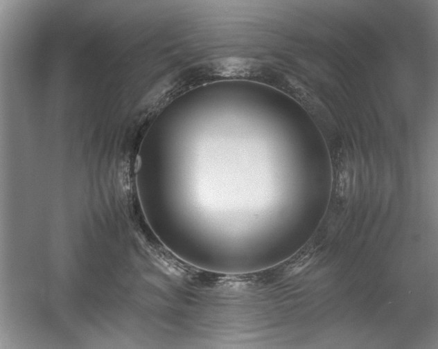 X0000052990620200507151857
