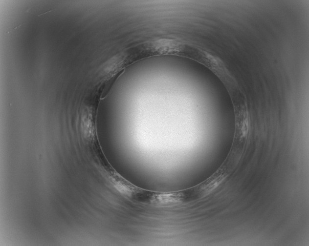 X0000052990622200507151856