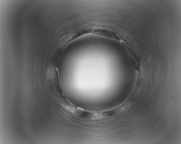 X0000052990623200507151856