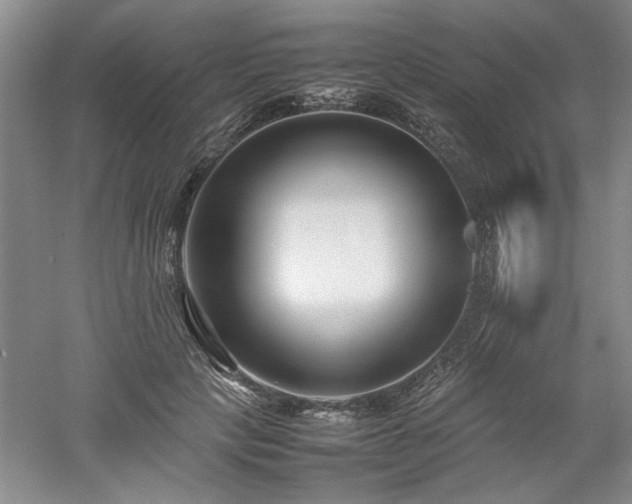 X0000052990649200507151856